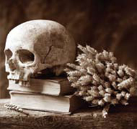 The Bard and the Human Condition