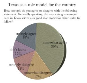 Texas Politics Project