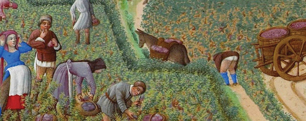 The Future of Not Even Past