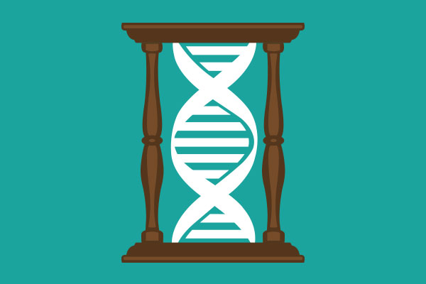 Genetic Influence on Intelligence Increases Over Time