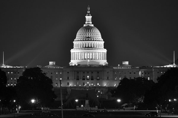 Fellowship Program Opens Washington’s Doors to UT Students