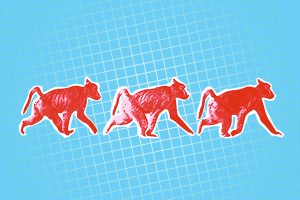 Nothing Backward About Walking on All Fours