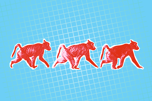 Nothing Backward About Walking on All Fours