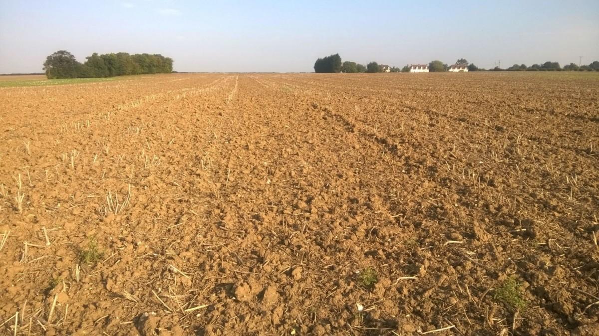 Finding common ground in water