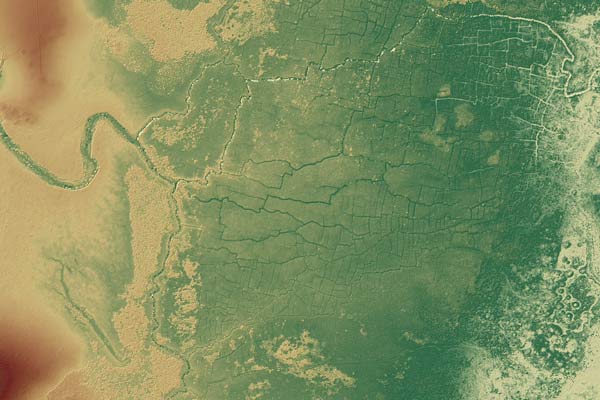 A lidar-derived model of the Birds of Paradise ancient Maya wetland field system and parts of the nearby Maya sites of Gran Cacao (bottom-left) and Akab Muclil (top-left) in Northwestern Belize.