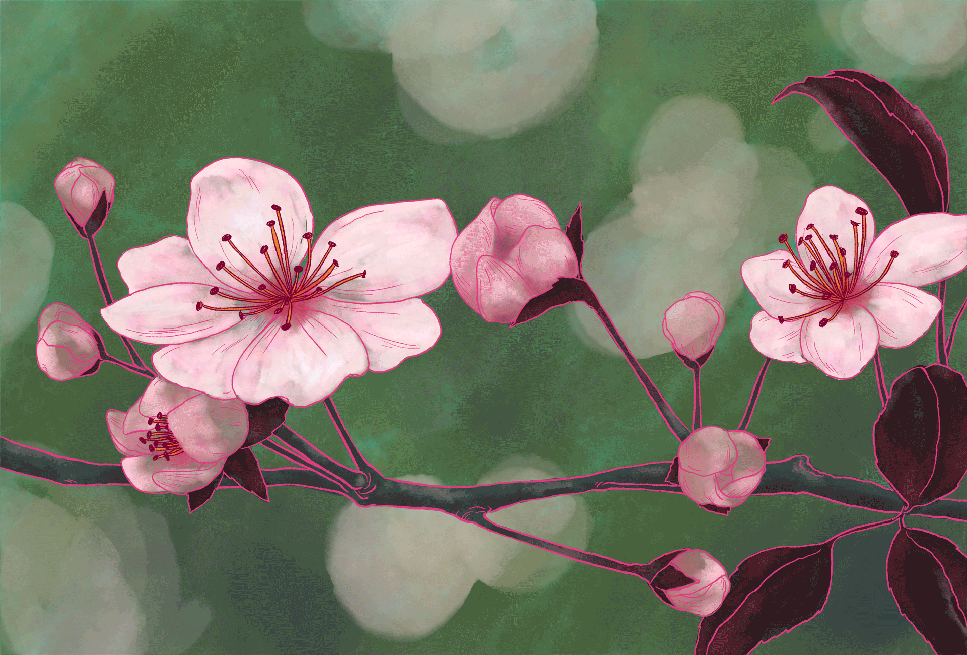 Pink cherry blossom blooming into an open book with green background.