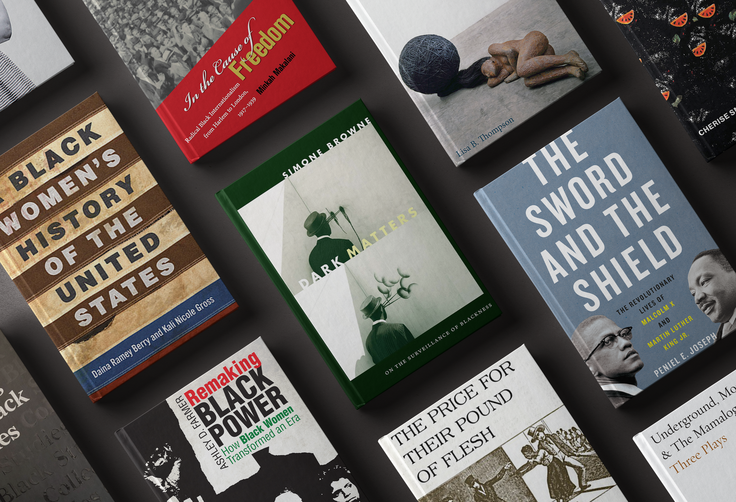 Books by Black Studies at UT faculty