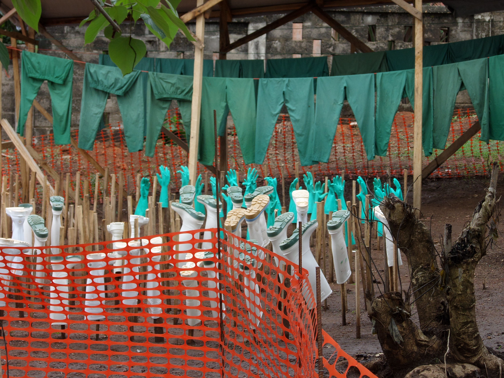 2021 Carnegie Fellow to Study Long-Term Consequences of Epidemics