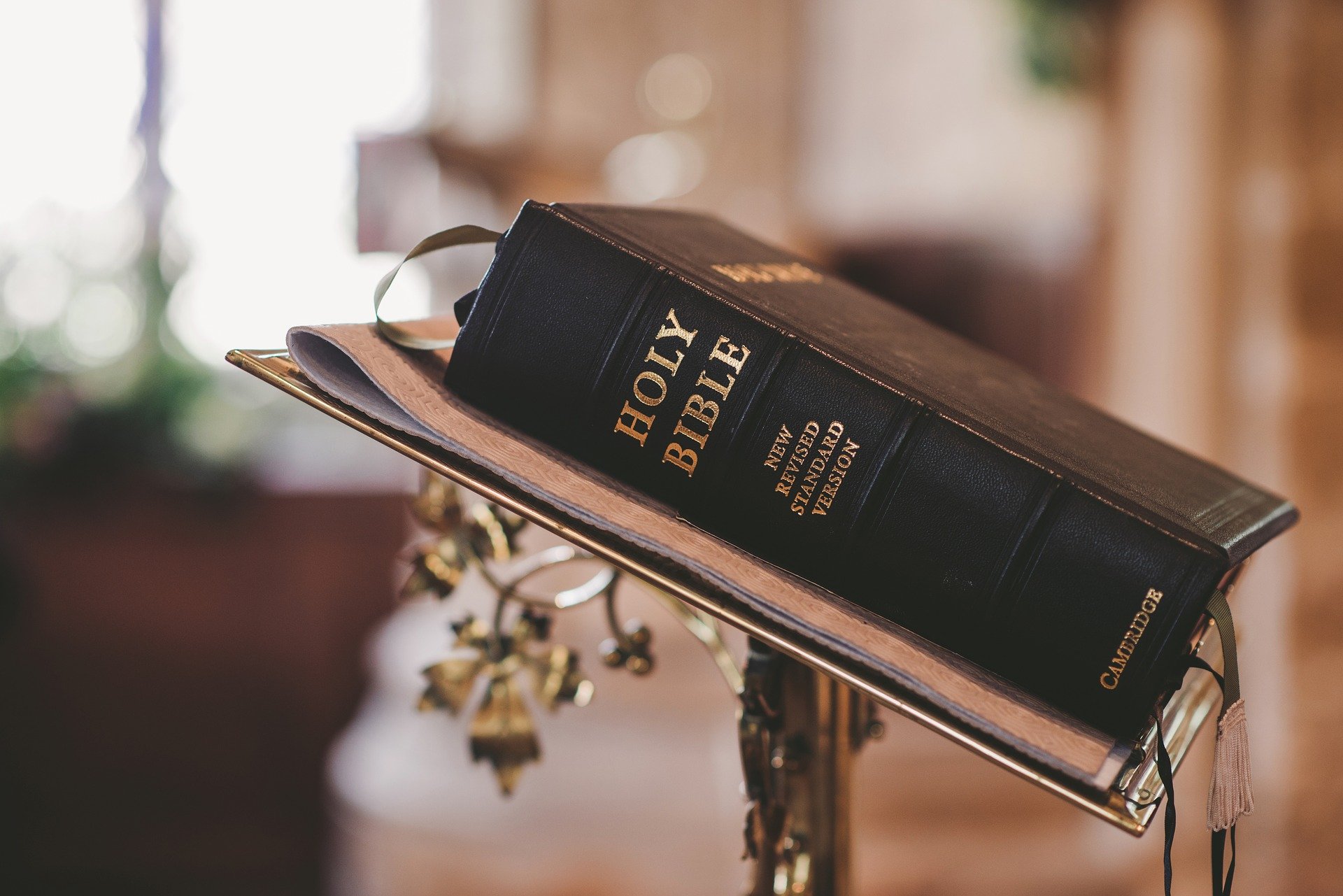 What is biblical inerrancy? A New Testament scholar explains