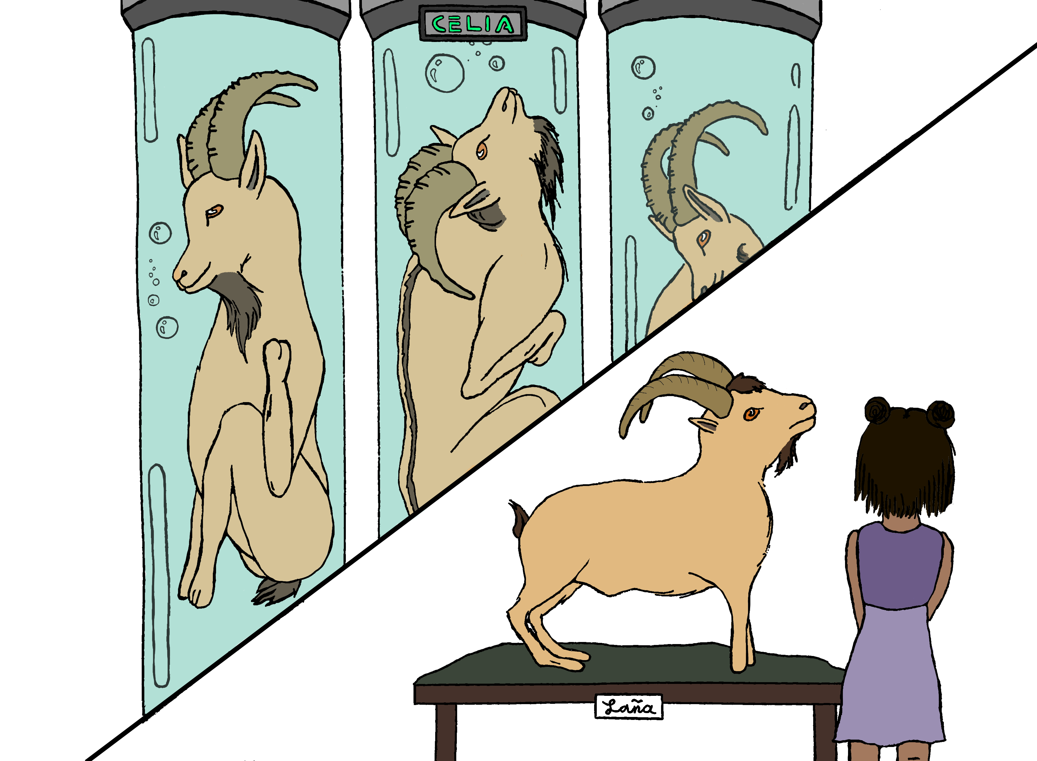 The End of the Line: “Endlings” and what their stories tell us about the planet, its inhabitants, and ourselves