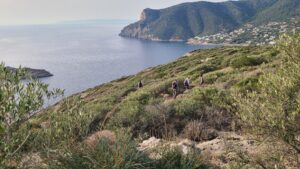 Between Dionysus and Athena